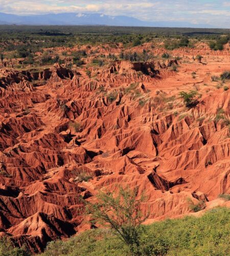 Colombia's Tatacoa Desert is believed to be the northernmost known location for terror birds in South America.